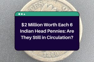 $2 Million Worth Each 6 Indian Head Pennies: Are They Still in Circulation?